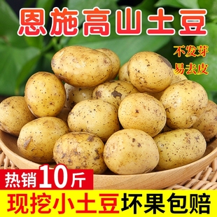 恩施小土豆10斤 富硒正宗新鲜洋芋迷你黄心士豆湖北马铃薯蔬菜 包邮