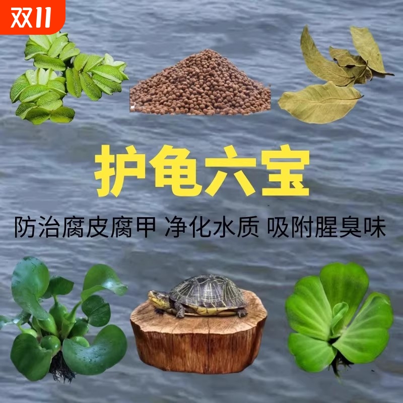 乌龟六宝招财旺宅乌龟小别墅