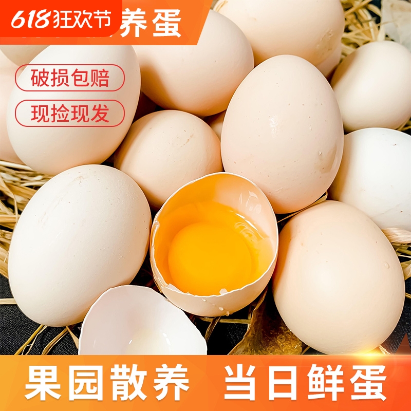 农家散养土鸡蛋鲜鸡蛋谷物鸡蛋农家散养柴鸡蛋早餐蛋营养50g/枚