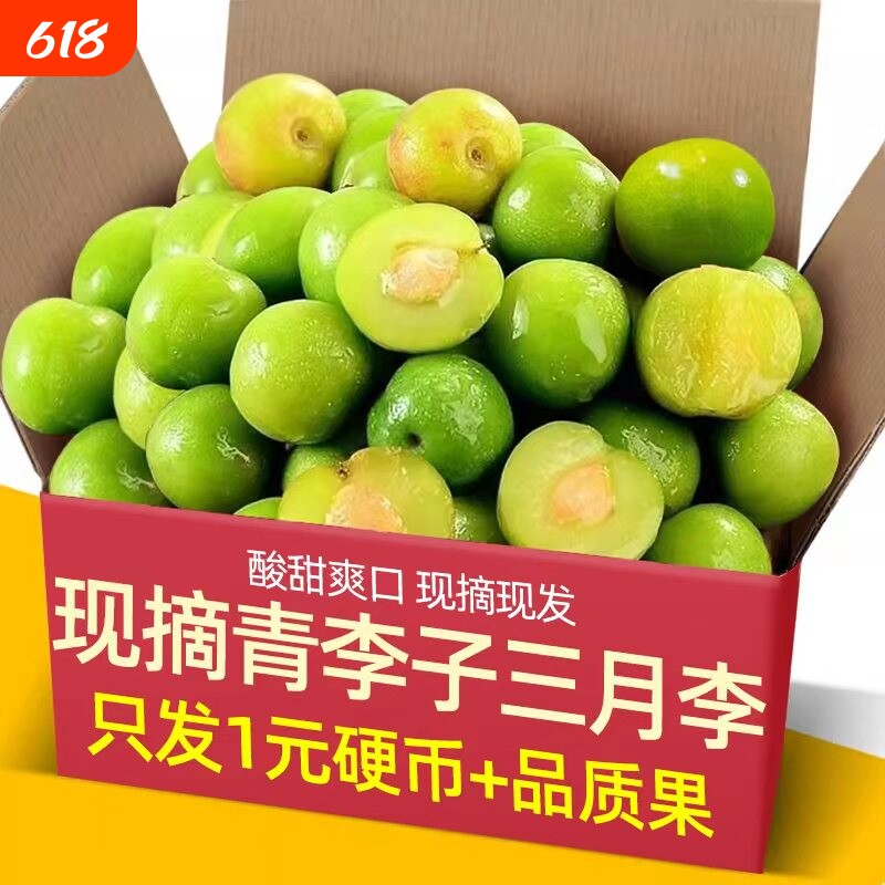现摘青李子三月李5斤装新鲜珍珠李孕妇当季水果早熟酸脆三华李子
