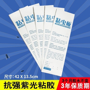 灭蝇纸灭蝇灯42 13.5c粘蝇纸灭蚊灯粘纸苍蝇蚊虫专用粘蝇板纸蚊蝇