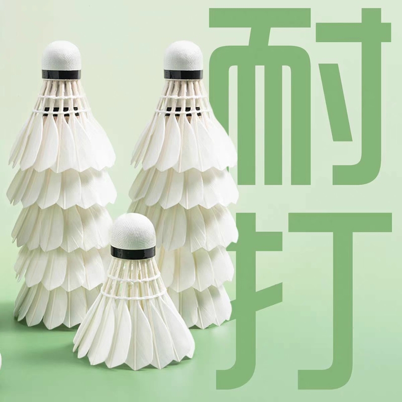 羽毛球正品耐打王室内室外训练用球6只装12只装防风稳定不易打烂