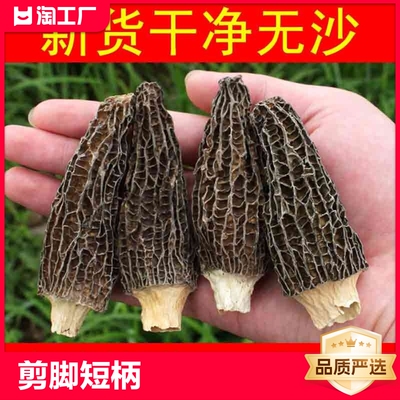 精品羊肚菌干货剪脚短柄干货头茬云南特产杆菌菇1斤煲汤食材