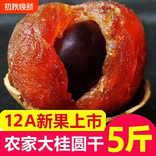 新货大果桂圆干非特级福建莆田特产非无核带壳桂圆龙眼肉厚新鲜