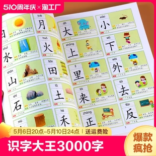 儿童识字大王3000字会说话 汉字启蒙早教书籍幼儿园宝宝小学生一年级学前认字用书教材教具卡片幼儿幼小衔接看图识字书有声伴读