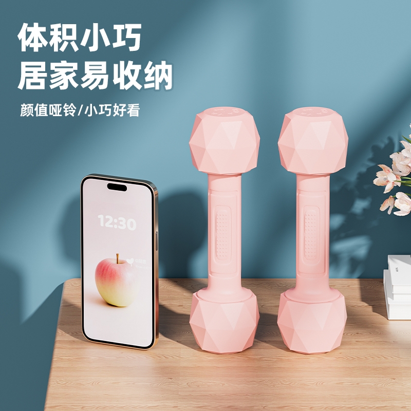 哑铃女士健身家用一对 可调节重量练臂肌运动器材儿童纯铁 小哑铃
