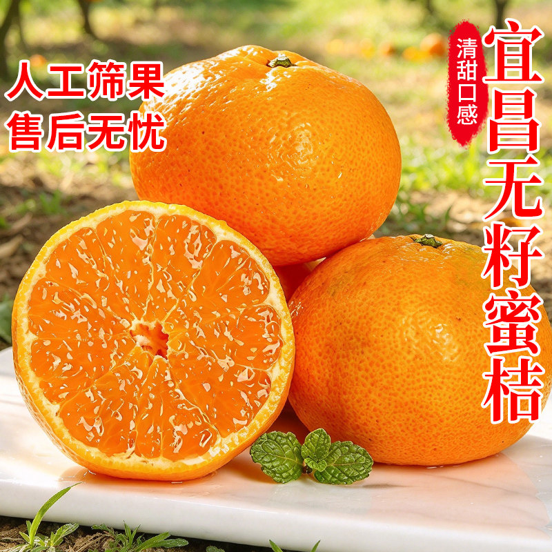 宜昌蜜橘桔子孕妇水果当季薄皮柑桔早熟无籽新鲜橘子10斤整箱柑橘