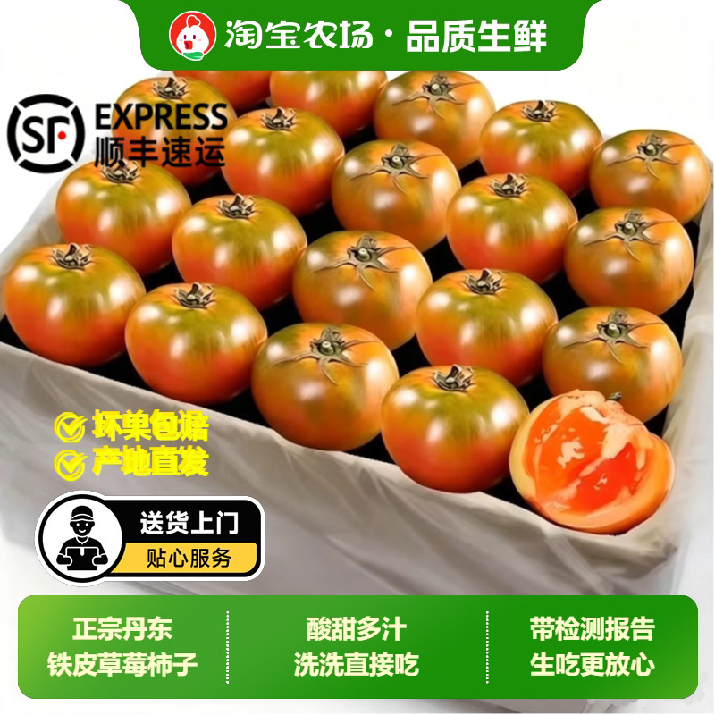 丹东铁皮草莓柿子新鲜生吃水果番茄碱地西红柿自然熟顺丰老品种