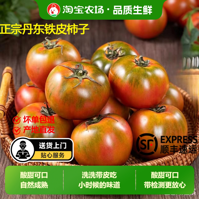 正宗铁皮草莓柿子新鲜当季西红柿生吃水果东北番茄酸甜口顺丰包邮