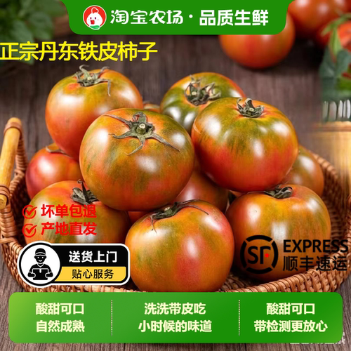 正宗铁皮草莓柿子新鲜当季西红柿生吃水果东北番茄酸甜口顺丰包邮
