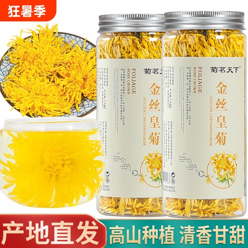 菊花茶金丝皇菊200朵一朵一杯