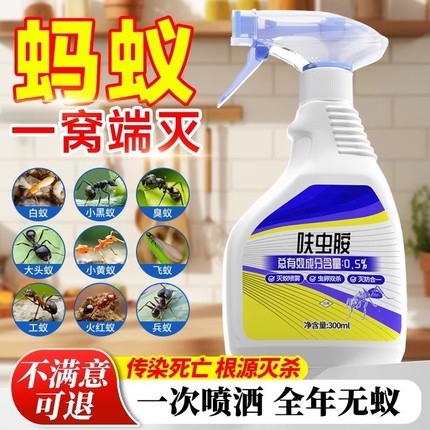蚂蚁药杀虫剂家用强效非无毒全窝呋虫胺端室内第防治白蚁专用一名
