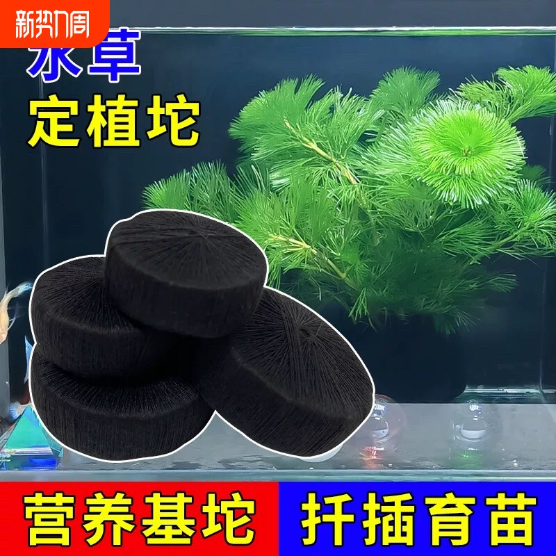 水草定植坨基泥坨坨泥底坨扦插DIY自作草坨营养底座生态