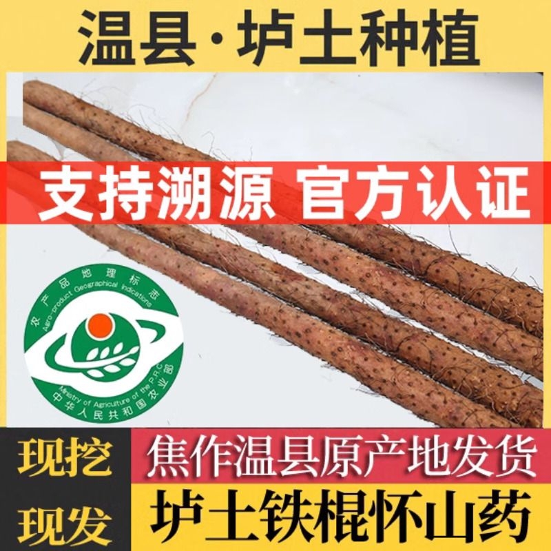 正宗河南焦作温县垆土铁棍山药铁杆怀山药新鲜淮山官方旗舰店特产