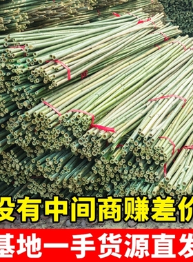 竹竿子搭架菜园豆角架黄瓜架西红柿蔬菜植物支架杆爬藤架旗杆栅栏
