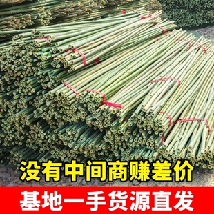 竹竿子搭架菜园豆角架黄瓜架西红柿蔬菜植物支架杆爬藤架旗杆栅栏