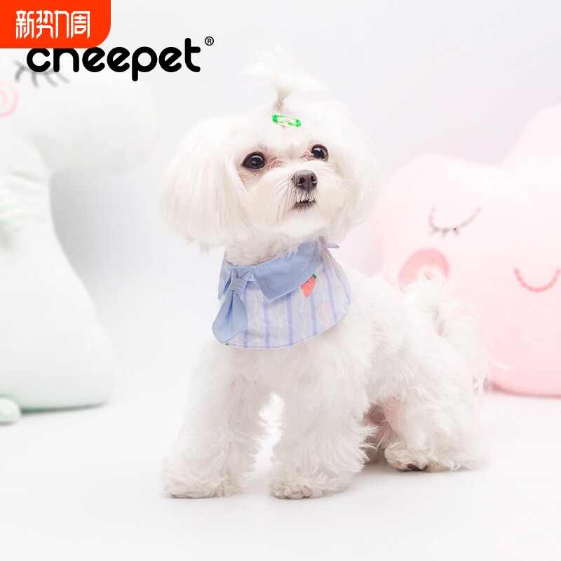 趣派条纹西瓜领带披肩宠物饰品领带猫咪围脖配饰小型犬围巾狗饰品