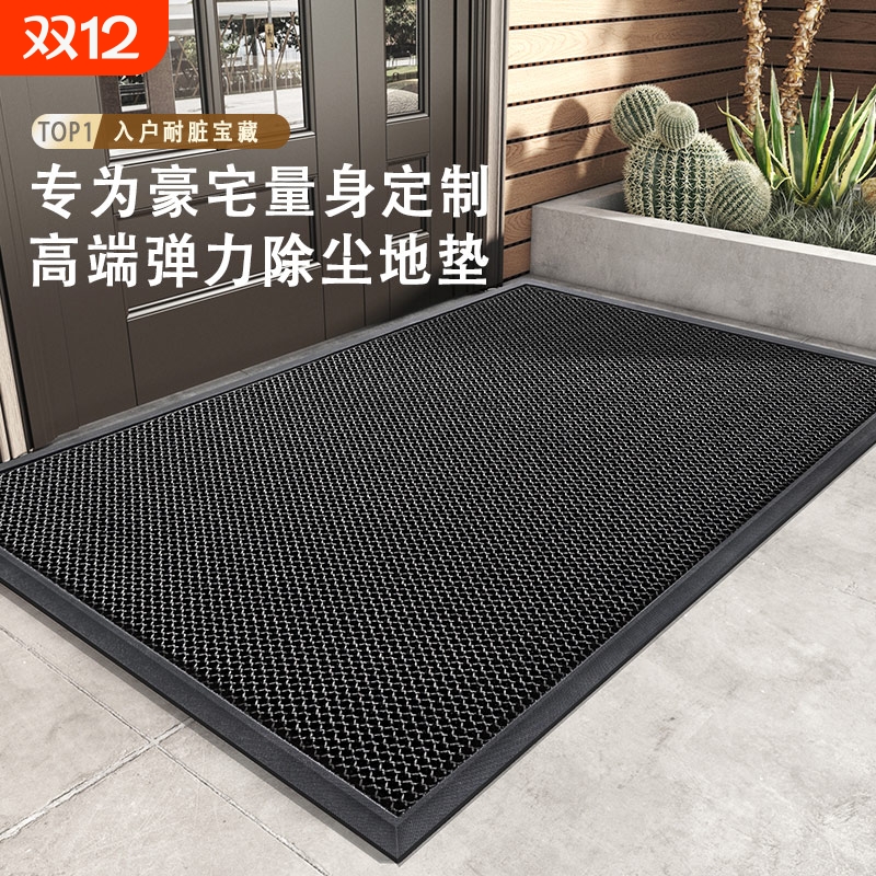 高级感轻奢入户门地垫室外防水