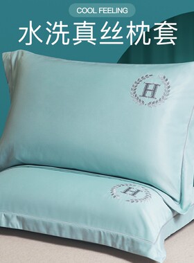 夏天水洗真丝枕套一对装家用冰丝枕头套高级感双人枕芯内胆套夏季