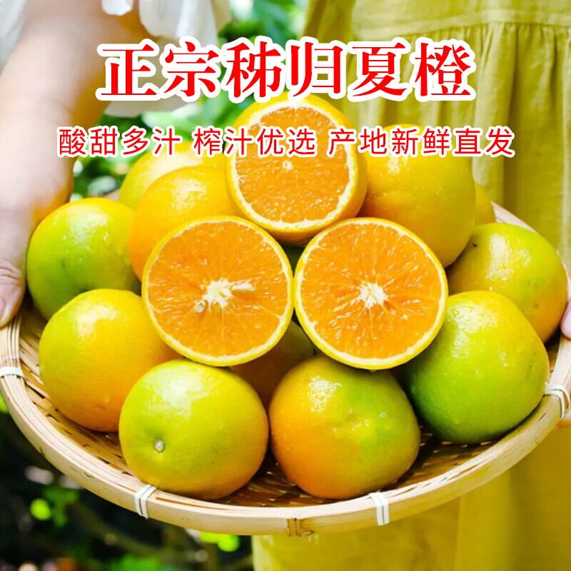 秭归夏橙脐橙摆摊榨汁专用当季新鲜时令孕妇水果蜜雪同款橙子现摘 - 实物图
