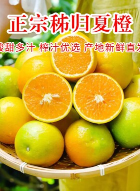 秭归夏橙橙子脐橙摆摊榨汁专用当季新鲜时令孕妇水果蜜雪同款现摘