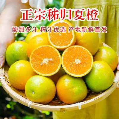 秭归夏橙橙子脐橙摆摊榨汁专用当季新鲜时令孕妇水果蜜雪同款现摘