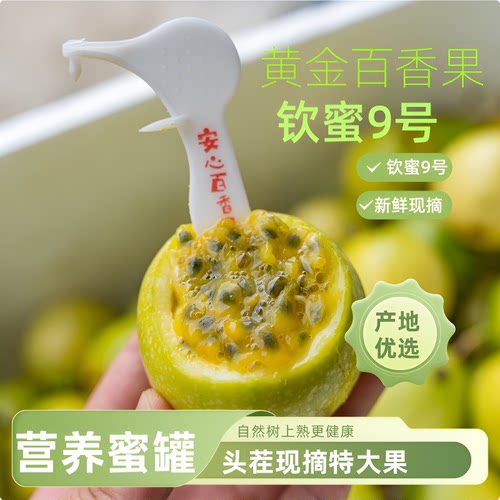 福建钦蜜9号黄金百香果整箱5斤新鲜大果孕妇水果甜如包邮应季果汁