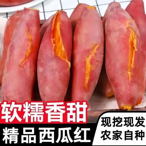 糖心西瓜红蜜薯9/5/3斤沙地地瓜现挖软糯当季烤红薯农家番薯红心