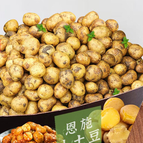 正宗富硒恩施小土豆农家自种