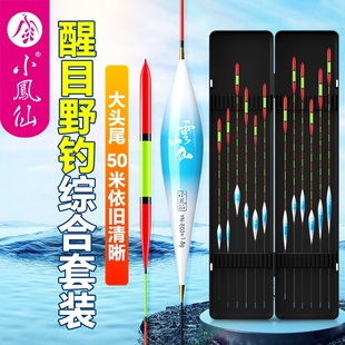 一套搞定全水域套装 鱼漂高灵敏加粗醒目咬钩变色夜光鱼漂