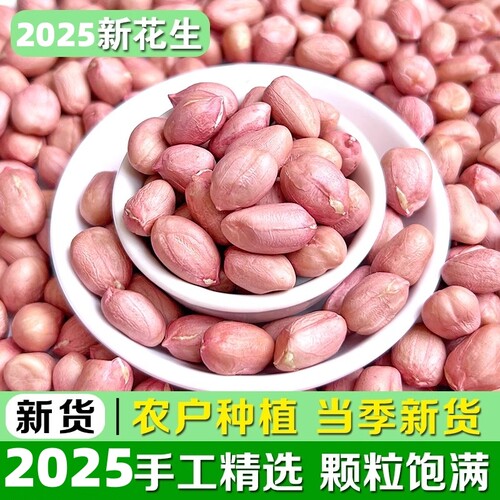花生米25年新鲜皮生花生豆白沙农家大颗粒新货小颗粒食用去壳原味
