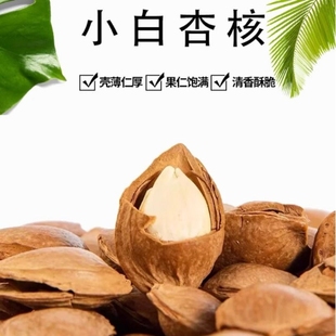 三只松鼠小白杏核160g*1袋
