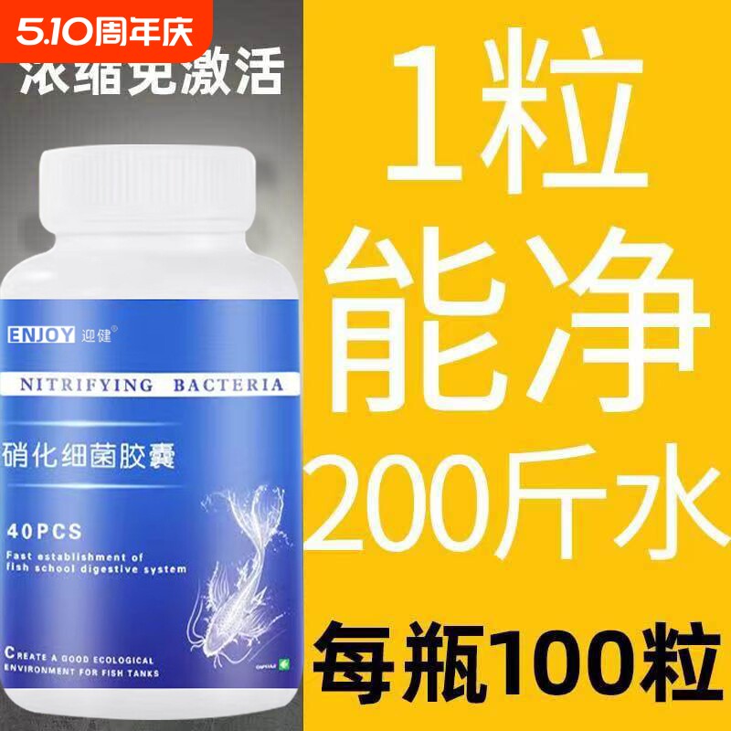 硝化细菌鱼缸用水族箱硝化菌胶囊消化干粉龙鱼专用活菌锦鲤净水剂