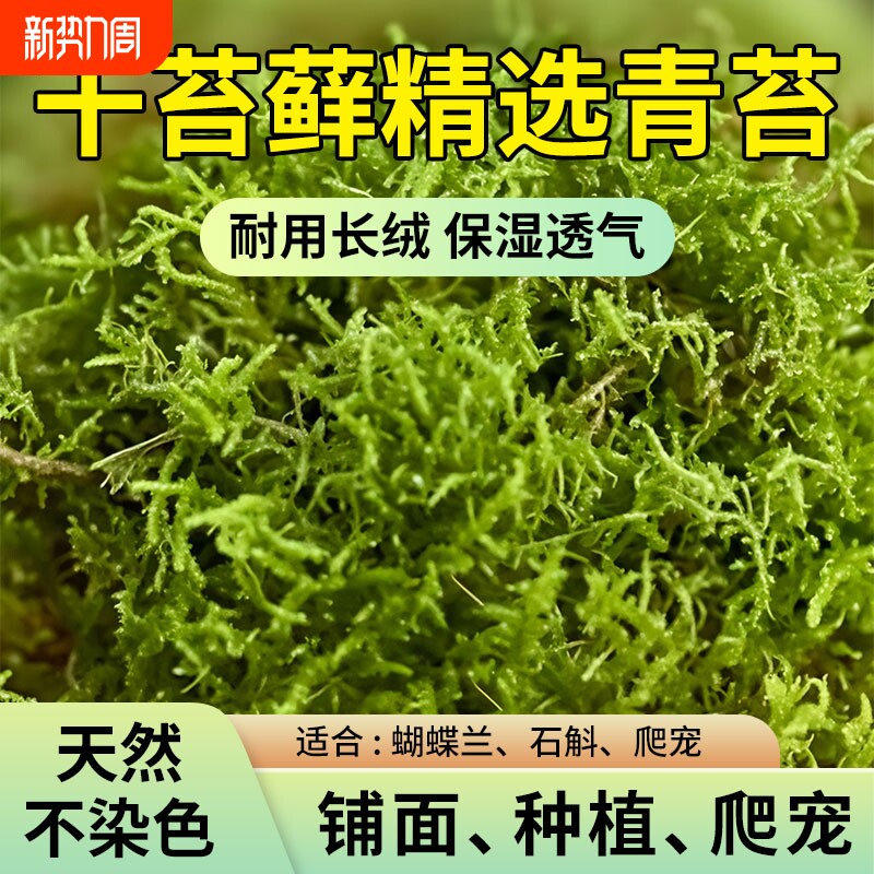 蝴蝶兰专用土水苔营养土种植石斛兰花植料干苔藓青苔干乌龟垫材