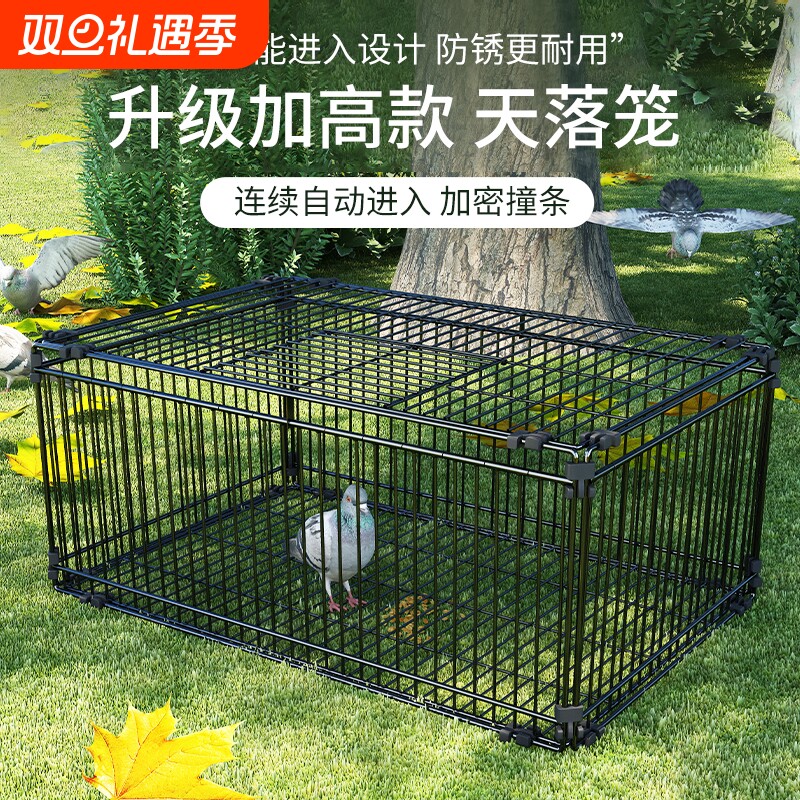 天落笼加密只进不出鸽子笼撞门笼活络门自动回收鸽子神器室外鸽笼