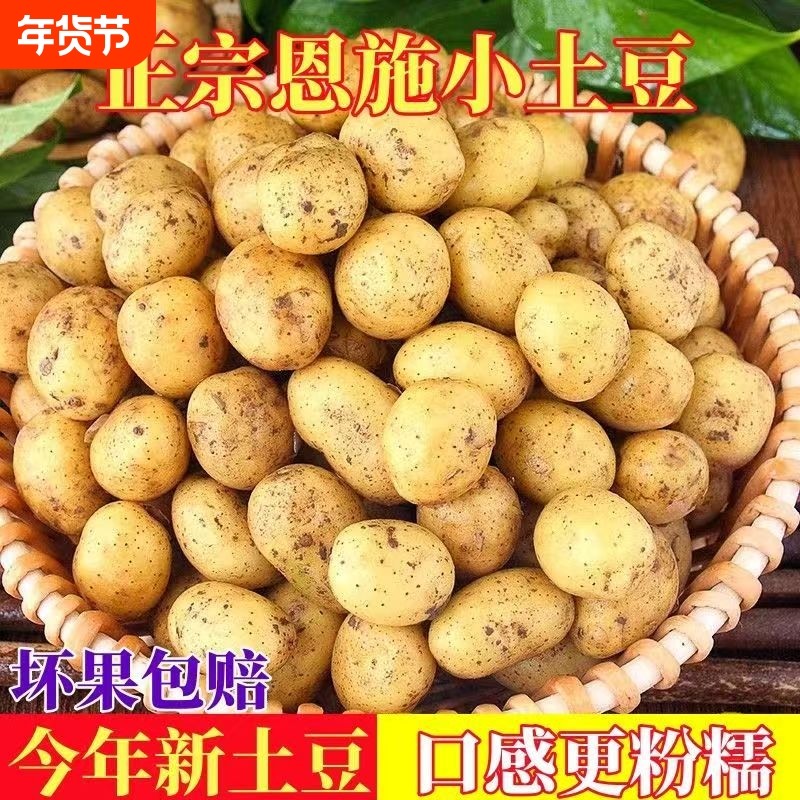 25年新鲜土豆黄皮黄心土豆马铃薯农家新鲜沙面土豆当季小土豆现挖,水产肉类/新鲜蔬果/熟食,土豆,淘宝优惠券,粉丝福利购,淘宝优惠卷