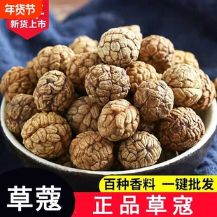 精选草蔻草扣草寇草豆蔻仁卤料香料调料炖肉厨房必备家用散装