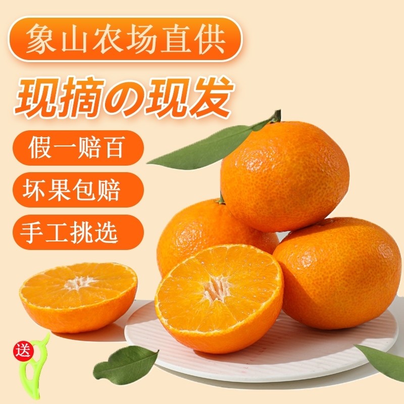 正宗象山红美人柑橘新鲜桔子果冻橙爱媛28号水果当季整箱包邮现摘,水产肉类/新鲜蔬果/熟食,桔子,淘宝优惠券,粉丝福利购,淘宝优惠卷