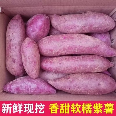 紫薯新鲜沙地现挖紫罗兰粗粮番薯红薯无筋无丝老少皆宜一整箱