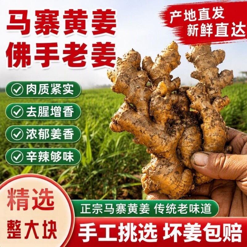 生姜老姜正宗马寨佛手小黄姜食用土姜农家自种现挖带泥新鲜蔬菜