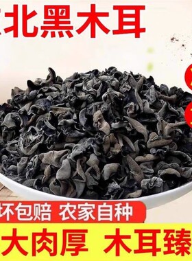 正宗东北黑木耳小碗耳干货无根农家秋耳凉拌优质好食材长白山新货