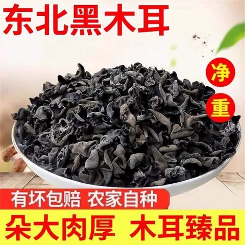 正宗东北黑木耳小碗耳干货无根农家秋耳凉拌优质好食材长白山新货 图片 1