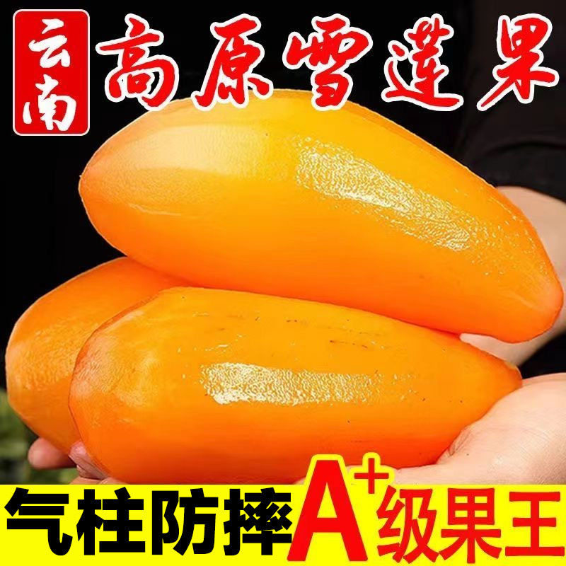 新鲜雪莲果正宗脆甜特级水果雪连果一级孕妇可食用水果黄心脆甜,水产肉类/新鲜蔬果/熟食,雪莲果,淘宝优惠券,粉丝福利购,淘宝优惠卷