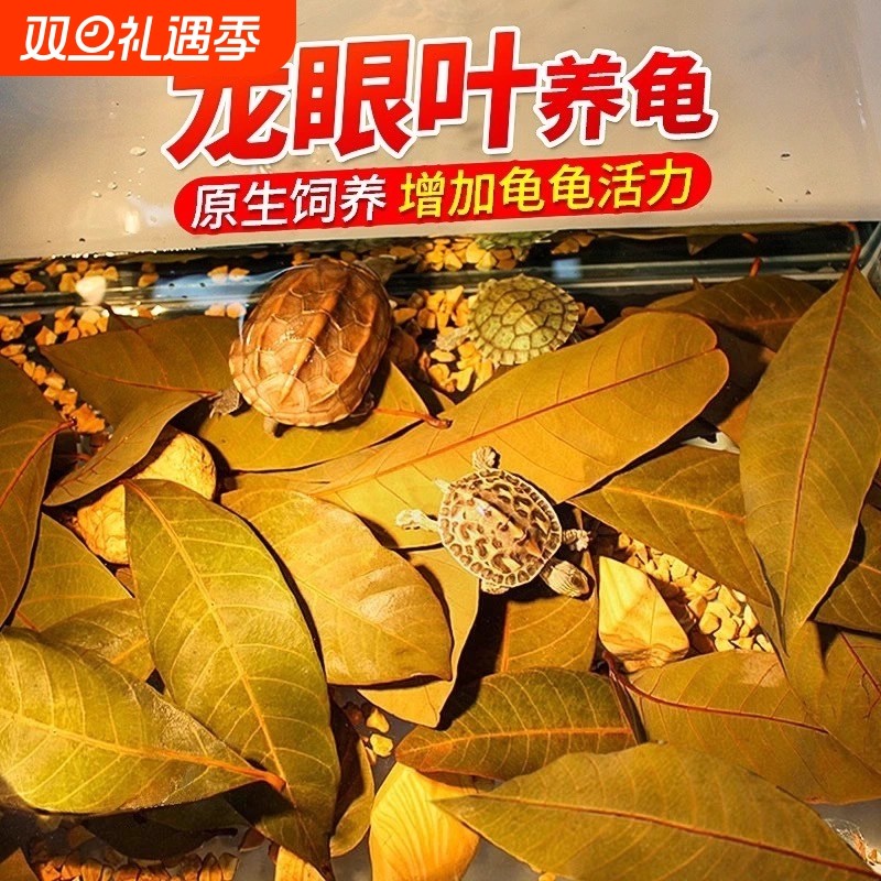 养龟专用龙眼叶干防腐皮烂甲调节水质乌龟躲避鱼缸龟缸生态缸造景