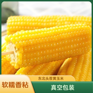东北黄糯玉米大棒新鲜玉米真空锁鲜松原糯又味粗粮香甜黄金好吃