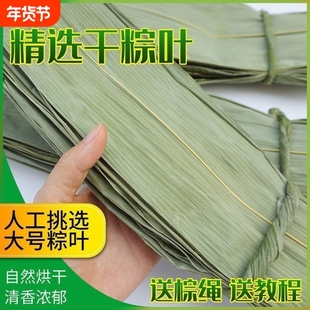干粽叶新鲜大叶家用纯天然野生粽叶子干大号粽子叶箬叶端午包粽子