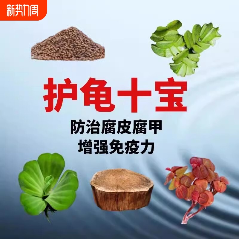乌龟缸龙眼木晒台净化水质稳定剂淡水草小乌龟造景装饰用品套餐