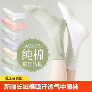 薄款袜子女夏季无骨吸汗透气低帮糖果色短袜松口短筒袜纯棉中筒袜