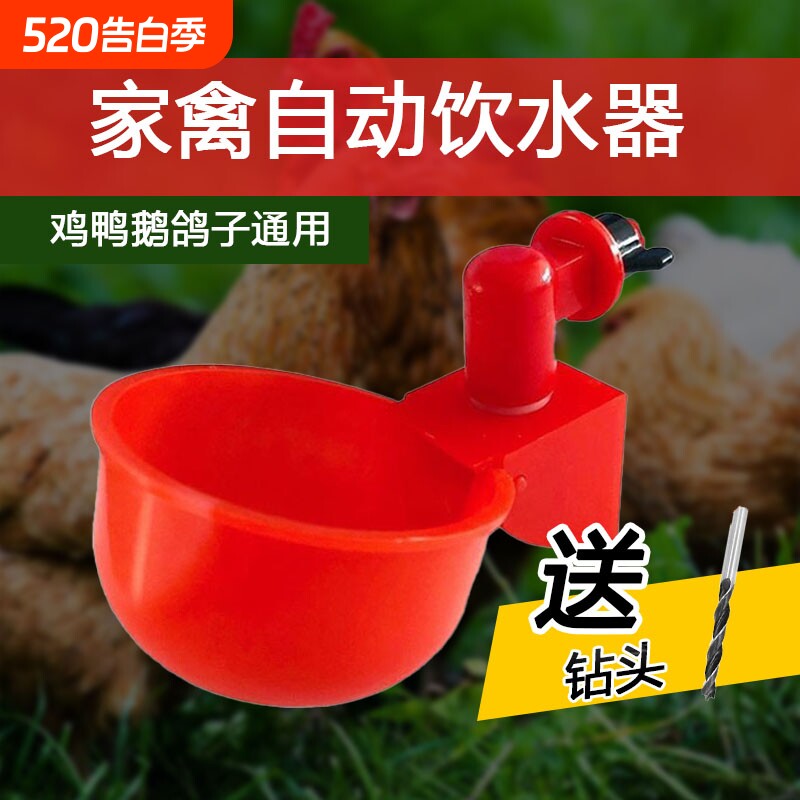鸽子用自动饮水器饮水碗养鸡鸡鸭鹅家禽养殖专用鸟小鸡喂水碗新款