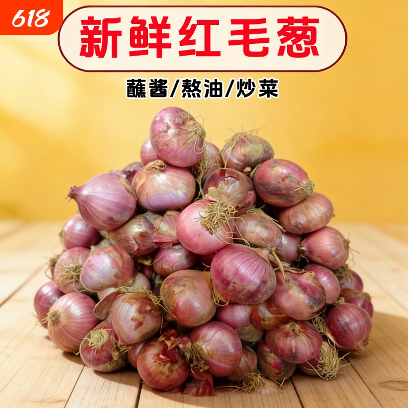 新鲜农家笨毛葱小圆葱红葱头东北洋葱笨毛葱头饭店佐料圆葱头种植